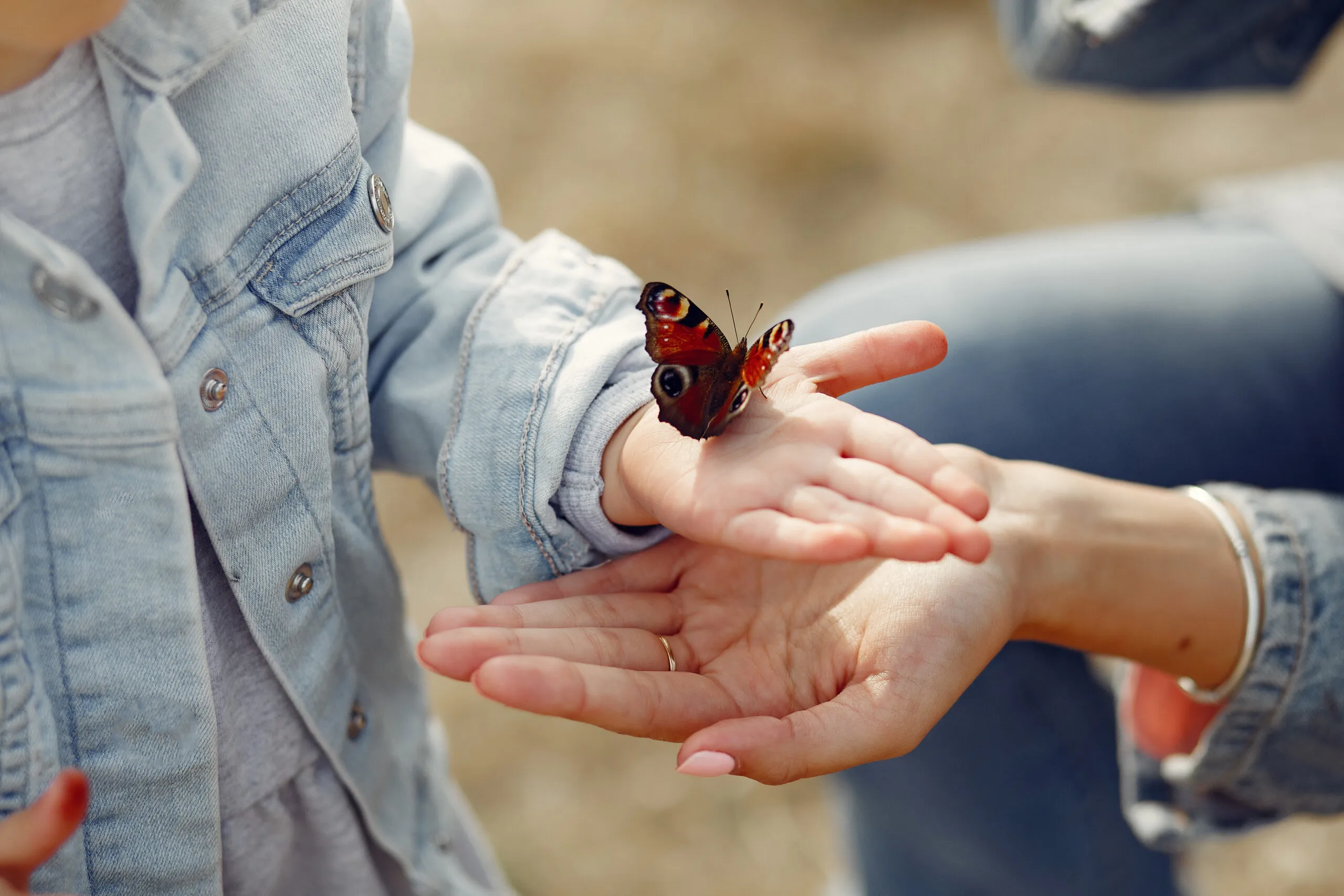 little-girl-holding-butterfly-scaled copie